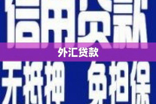 同仁外汇贷款