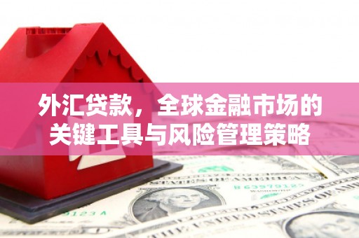 同仁外汇贷款，全球金融市场的关键工具与风险管理策略