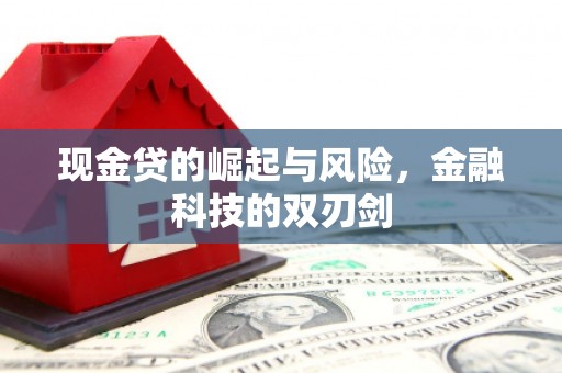 同仁现金贷的崛起与风险，金融科技的双刃剑