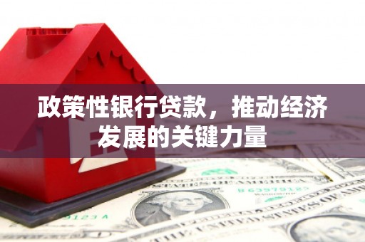 同仁政策性银行贷款，推动经济发展的关键力量