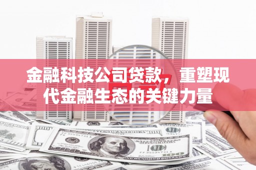 同仁金融科技公司贷款，重塑现代金融生态的关键力量