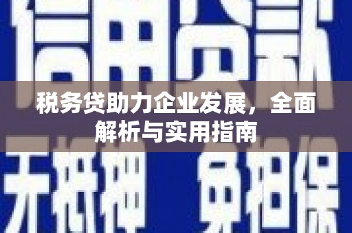 同仁税务贷助力企业发展，全面解析与实用指南
