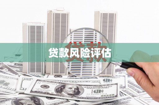 同仁贷款风险评估