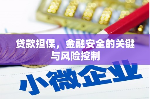 同仁贷款担保，金融安全的关键与风险控制