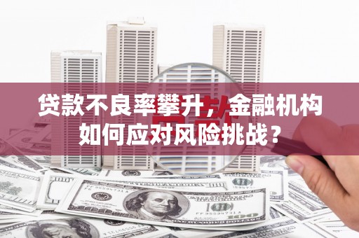 同仁贷款不良率攀升，金融机构如何应对风险挑战？