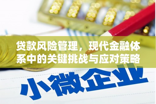 同仁贷款风险管理，现代金融体系中的关键挑战与应对策略