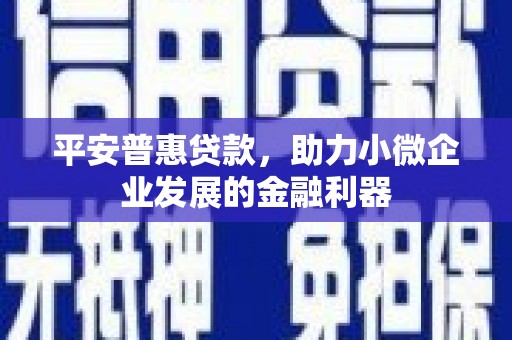 同仁平安普惠贷款，助力小微企业发展的金融利器