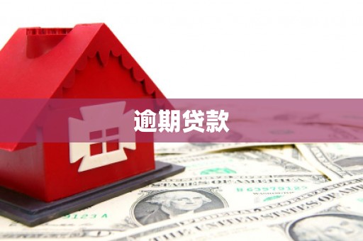同仁逾期贷款